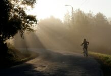 자전거 타기의 건강 효과: 체중 감량과 심혈관 건강 a person riding a bike down a road