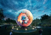 2025년 새해 달라지는 것들