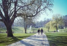 “책상 탈출” 건강 습관… 직장인의 새로운 라이프 트렌드 two people walking down a path in a park