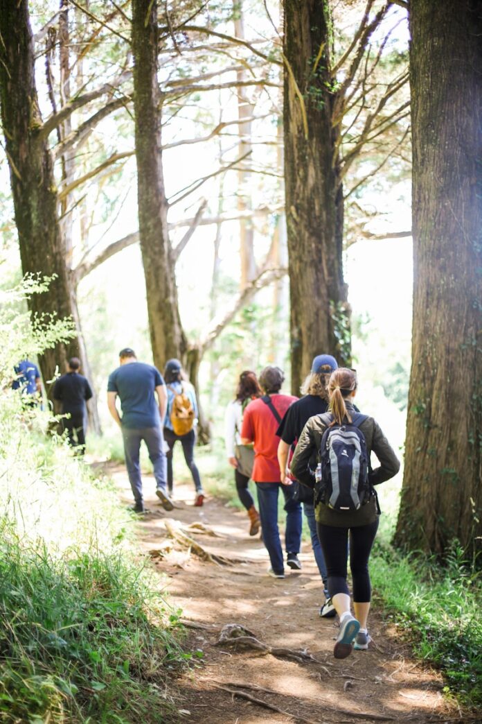 Photo by Kitera Dent people walking on dirt road between trees during daytime